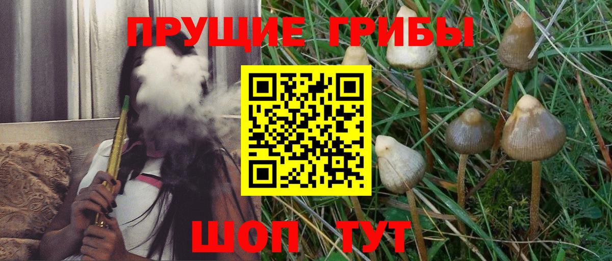 Псилоцибиновые грибы ЛСД  Вход с VPN  Орехово-Зуево 